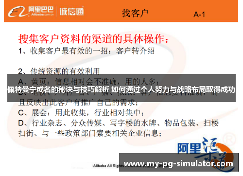佩特曼宁成名的秘诀与技巧解析 如何通过个人努力与战略布局取得成功