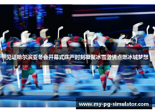 见证哈尔滨亚冬会开幕式庄严时刻凝聚冰雪激情点燃冰城梦想