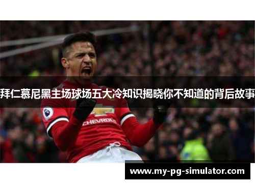 拜仁慕尼黑主场球场五大冷知识揭晓你不知道的背后故事