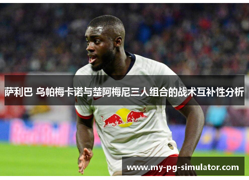萨利巴 乌帕梅卡诺与楚阿梅尼三人组合的战术互补性分析 萨利巴 乌帕梅卡诺与楚阿梅尼三人组合的战术互补性分析