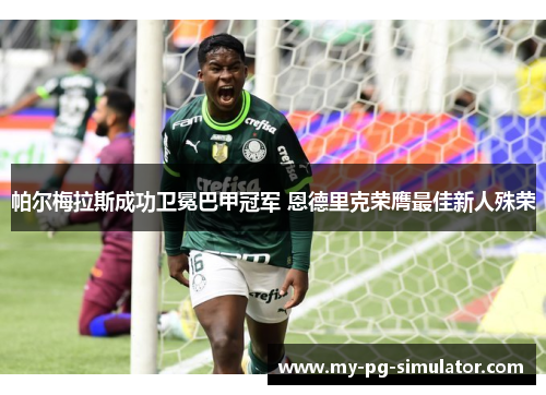 帕尔梅拉斯成功卫冕巴甲冠军 恩德里克荣膺最佳新人殊荣 帕尔梅拉斯成功卫冕巴甲冠军 恩德里克荣膺最佳新人殊荣