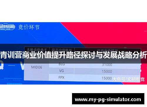 青训营商业价值提升路径探讨与发展战略分析