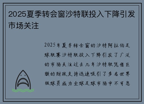 2025夏季转会窗沙特联投入下降引发市场关注